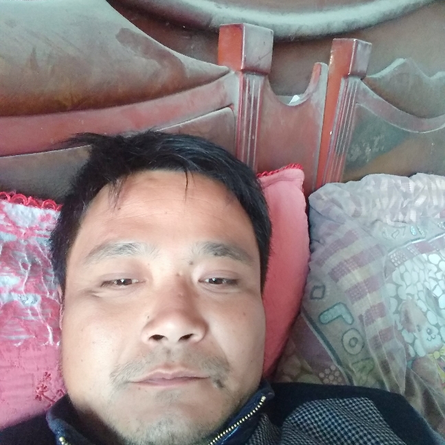 小蝴蝶踢刻苦的照片