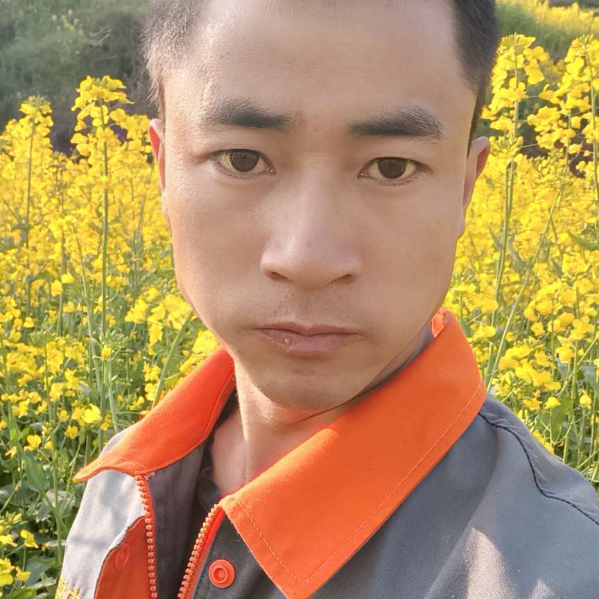 纯真凝眸星星的照片