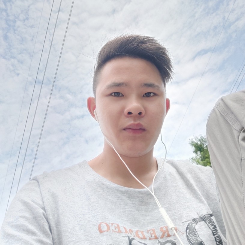 老虎拾忆怕孤单的照片
