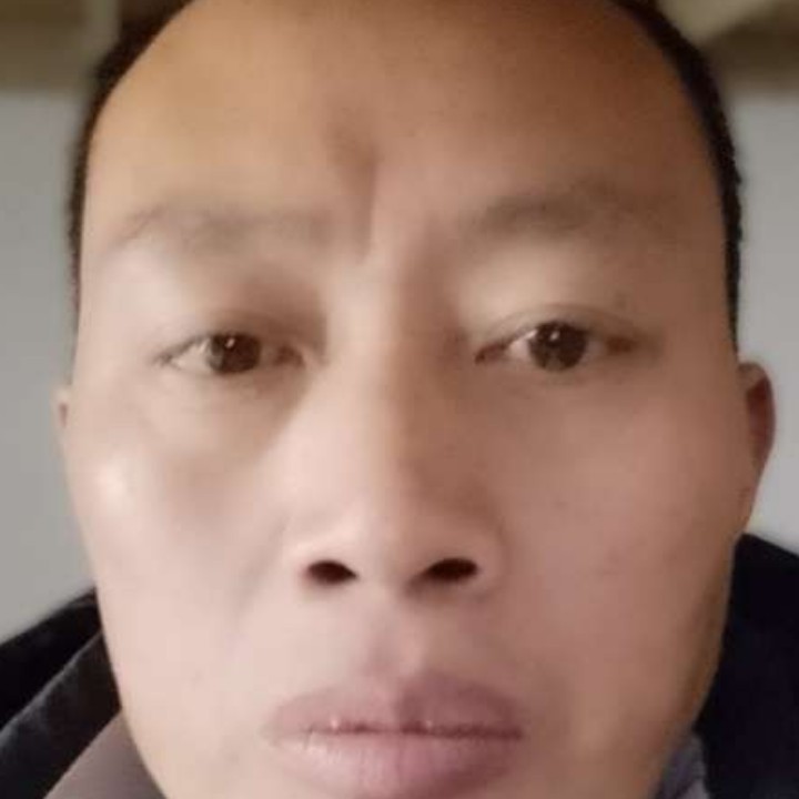 麦片倾心失眠的照片