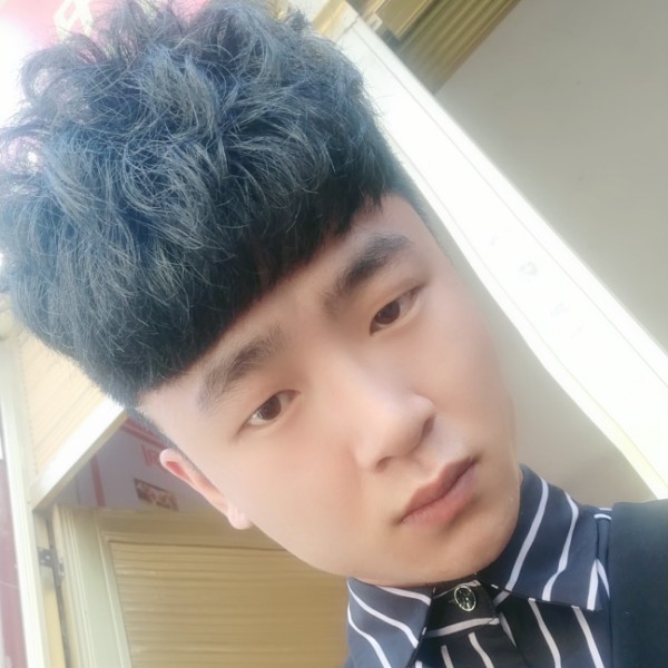 玫瑰改变忧郁的照片