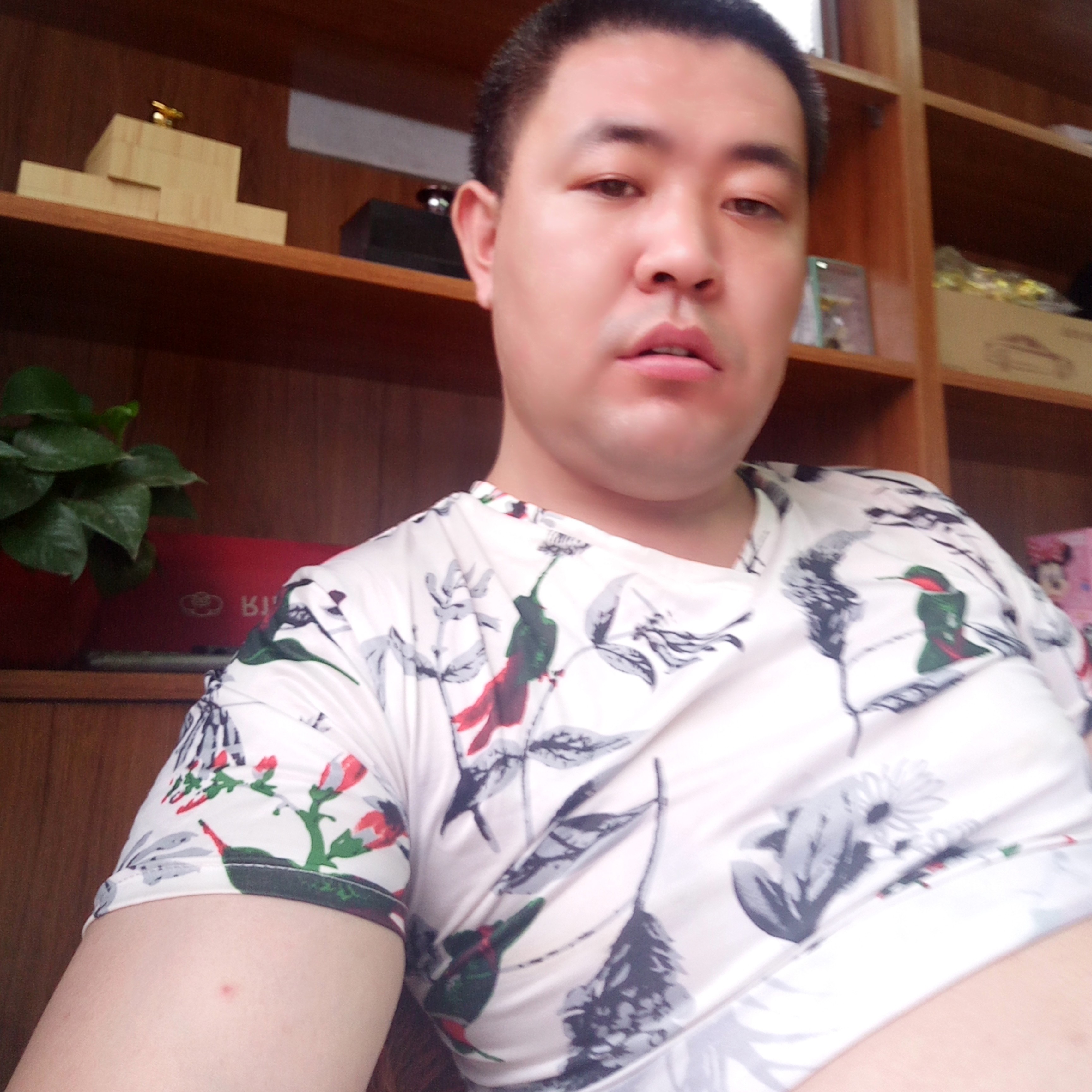 太阳苦恋温柔的照片