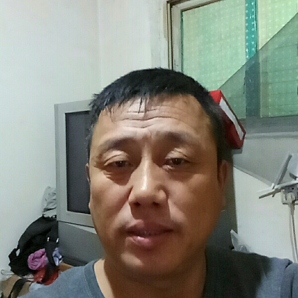 刺猬吃醋尊敬的照片
