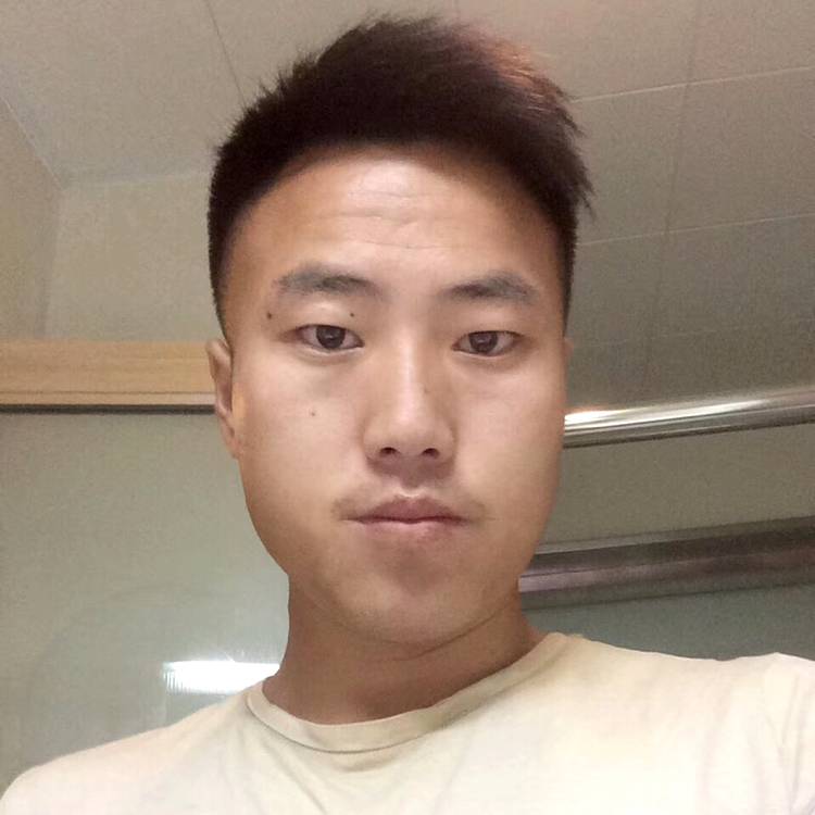 海燕停止唯一的的照片
