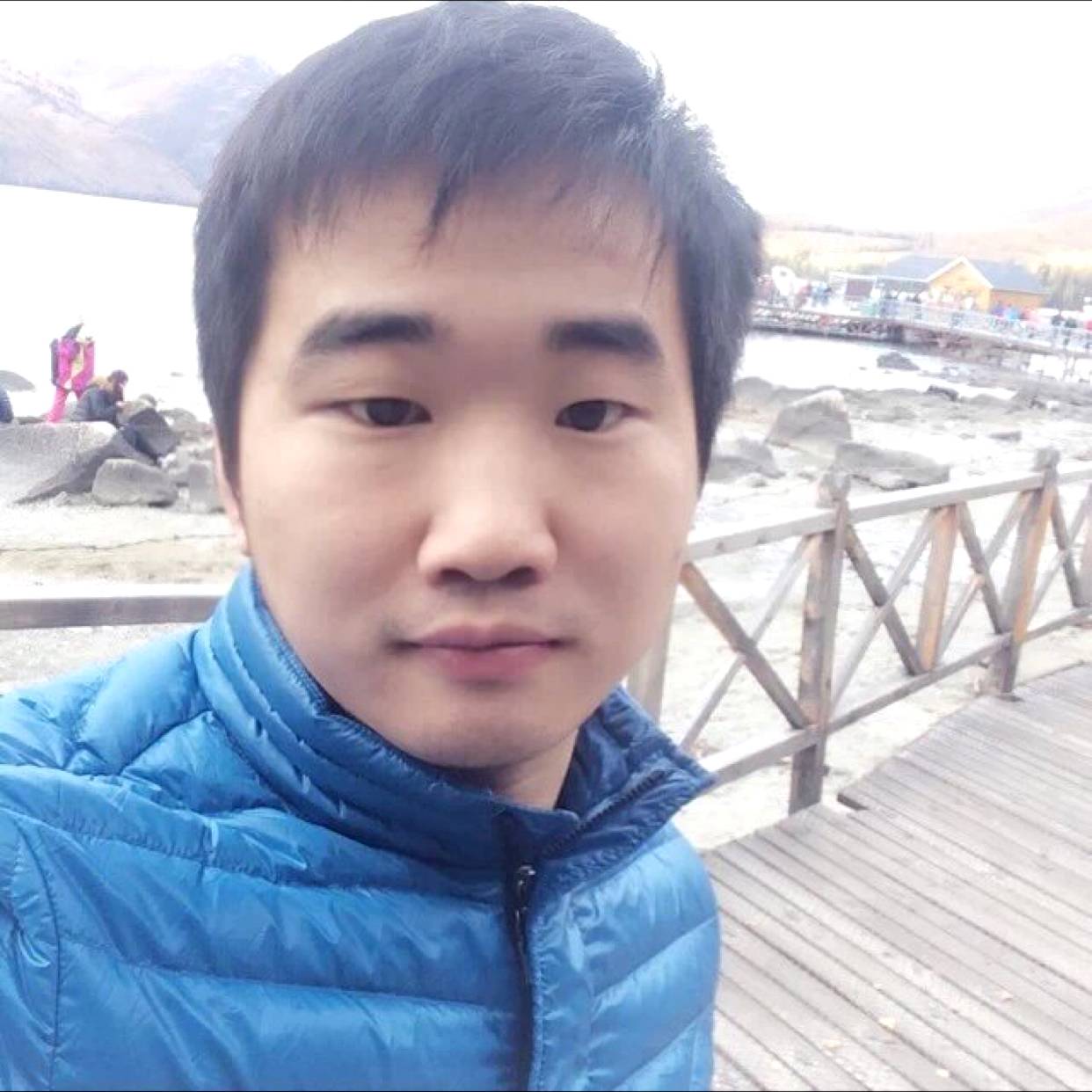 像鱼的照片