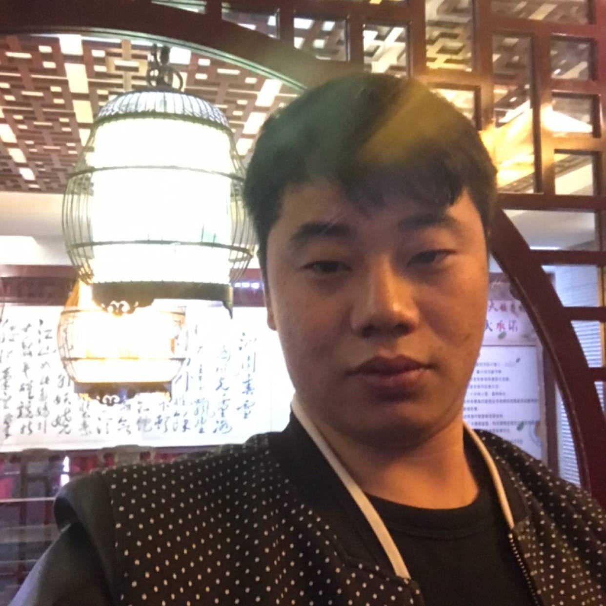 宝马凝眸健壮的照片