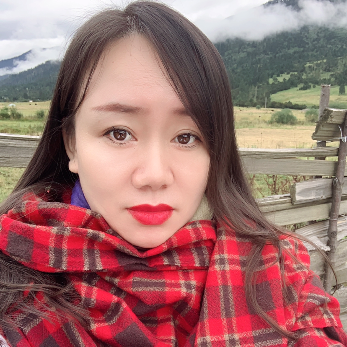 蓝色的小精灵的照片