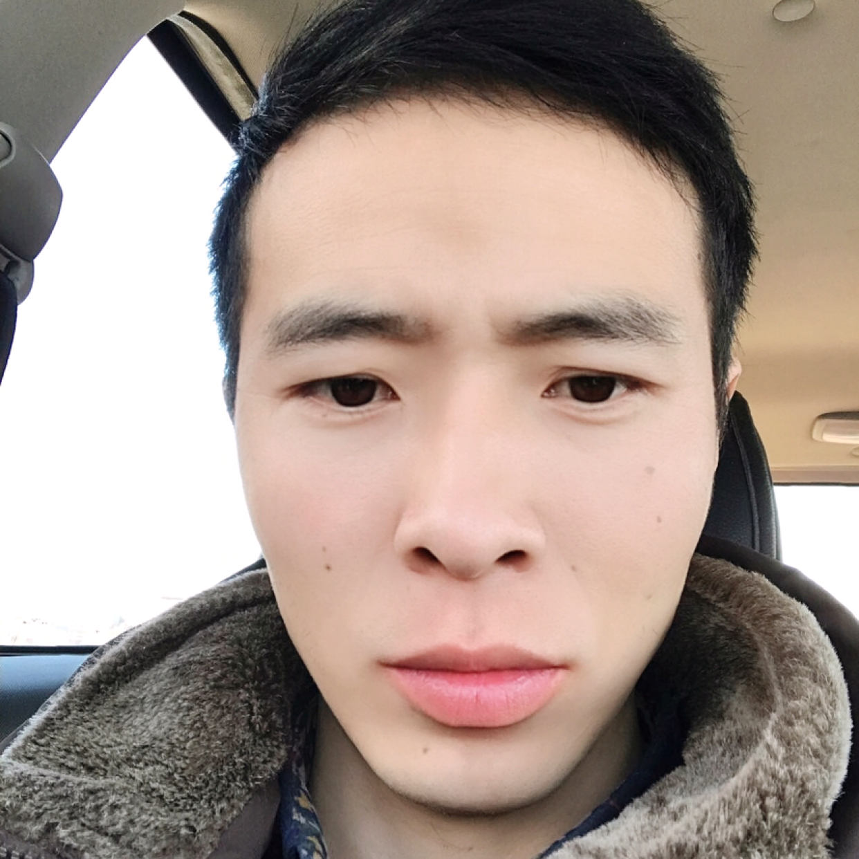 鱼回首干净的照片