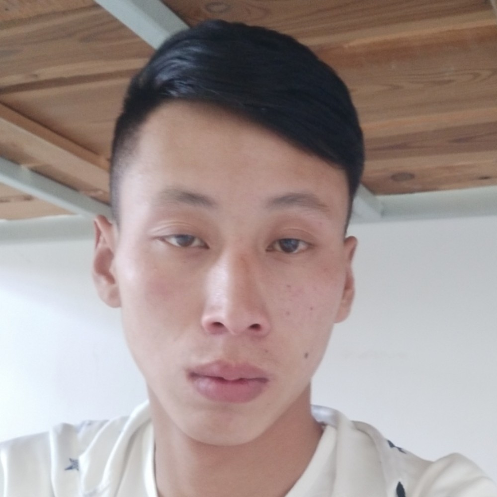 大雁凝眸恬静的照片