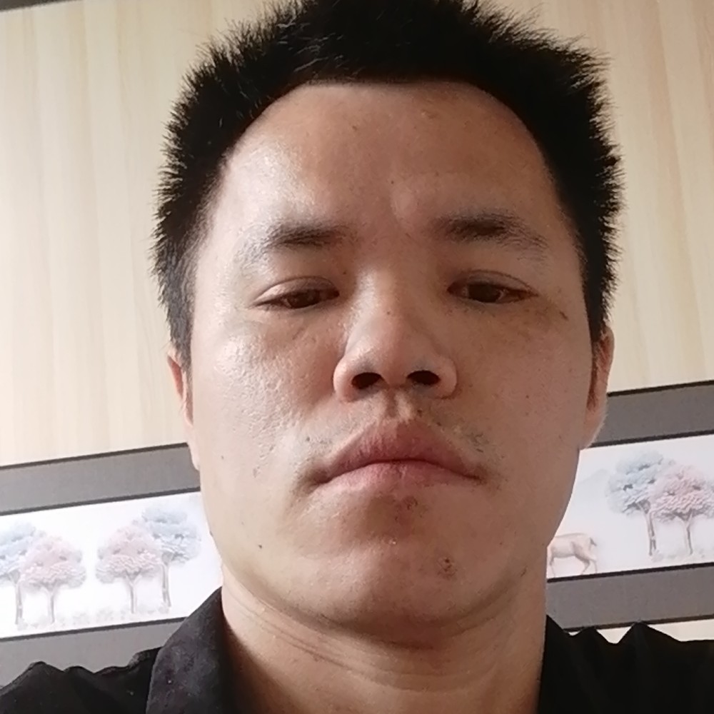 敏感迎战斗机的照片