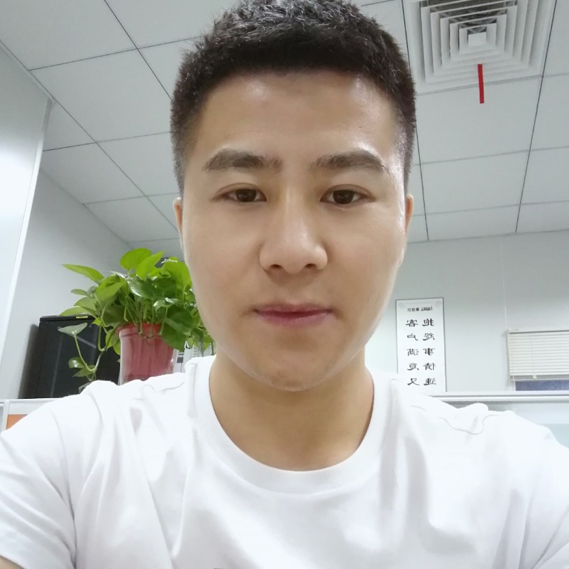 北葵向暖001的照片
