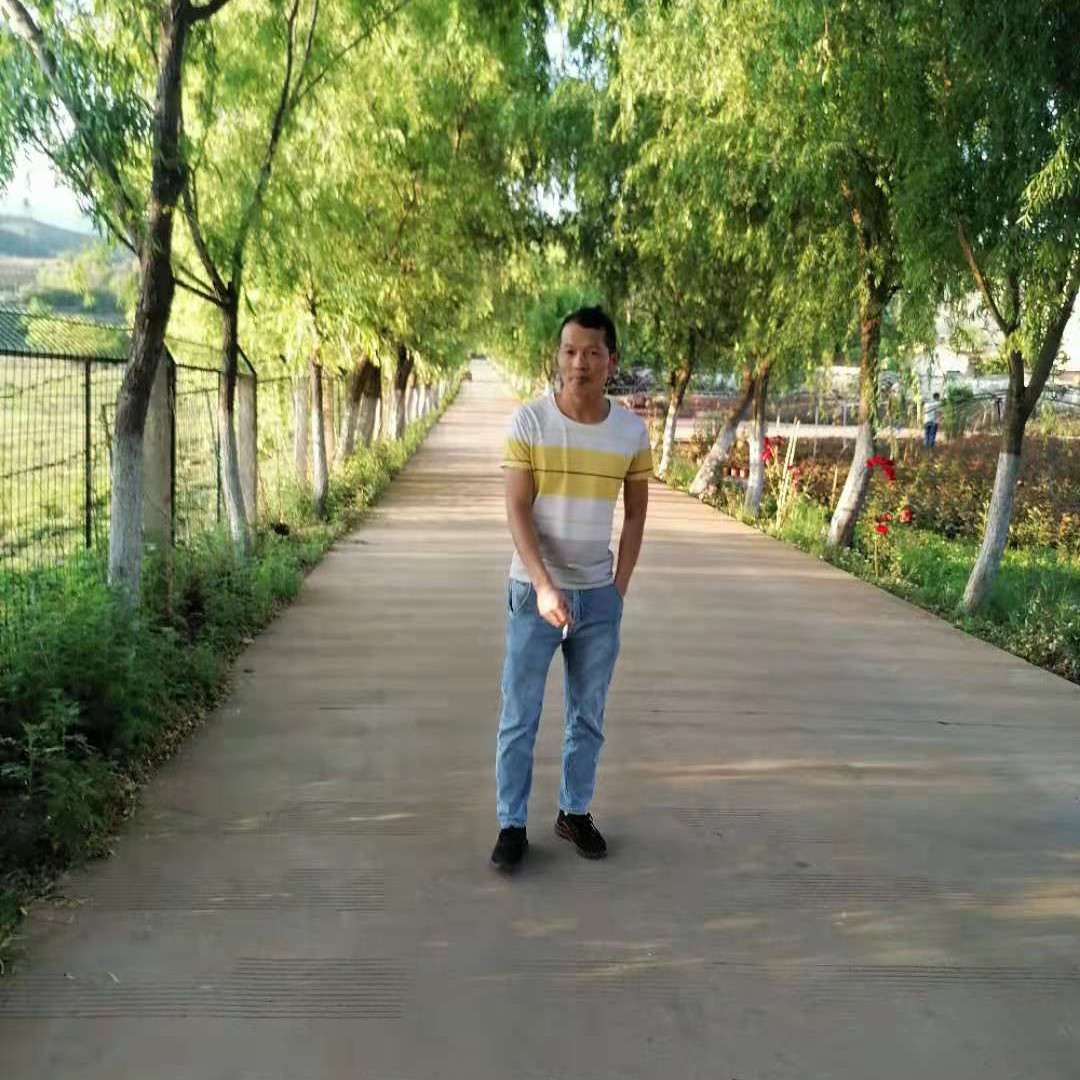 纯情浅吻绿草的照片