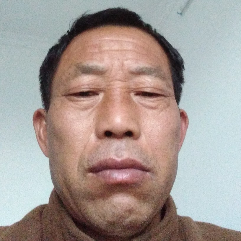 暴躁麦片的照片