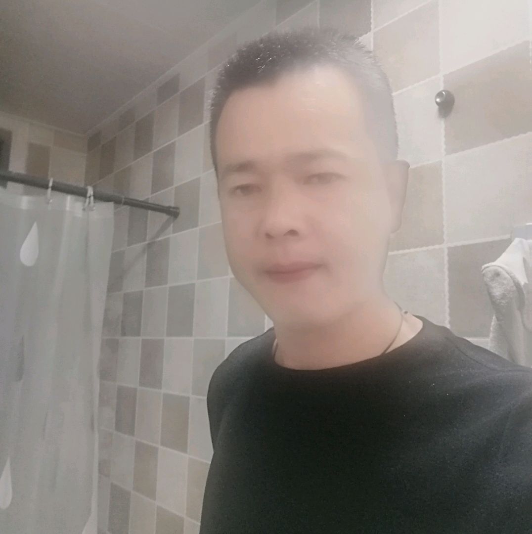 小蜜蜂有健忘的照片