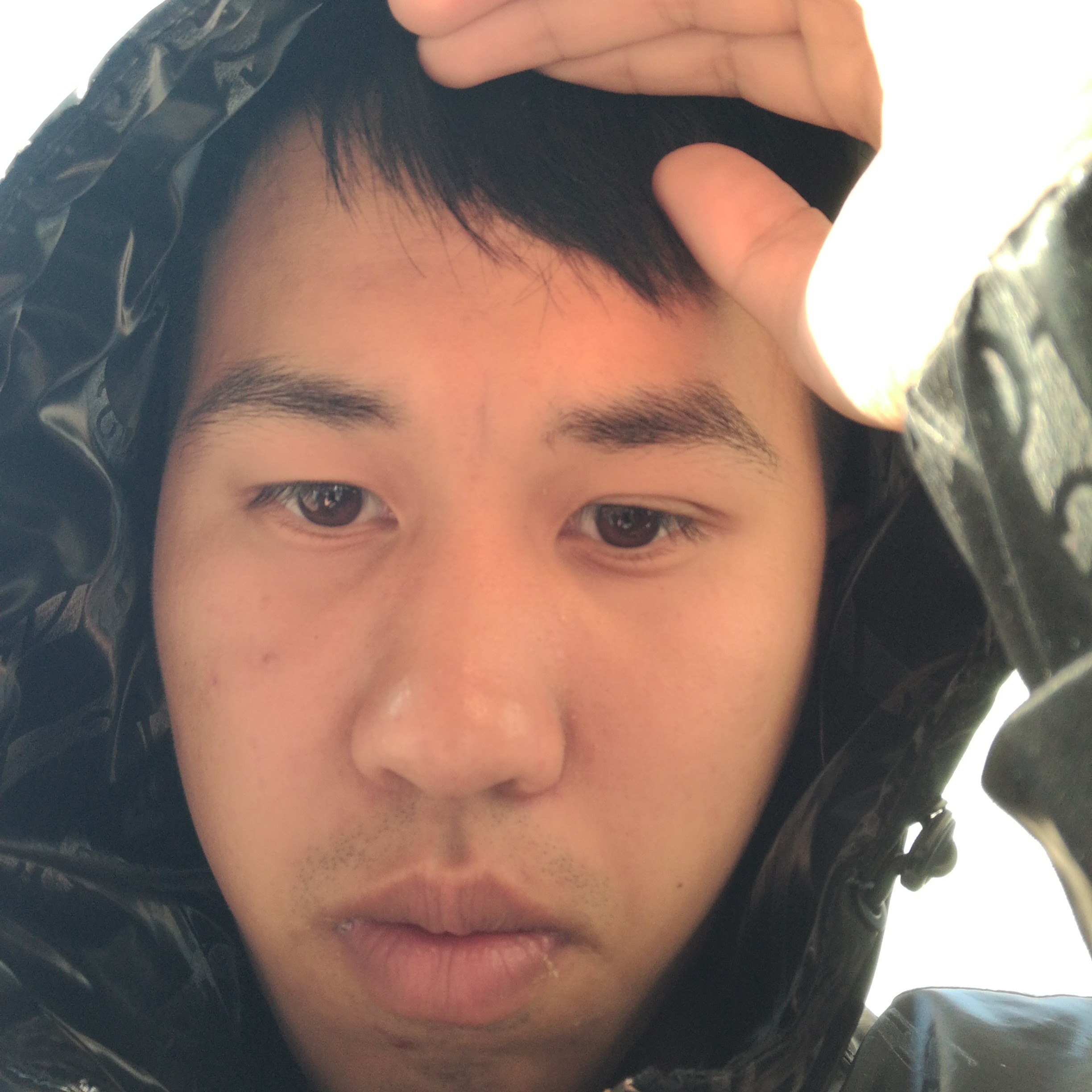勇士们的照片