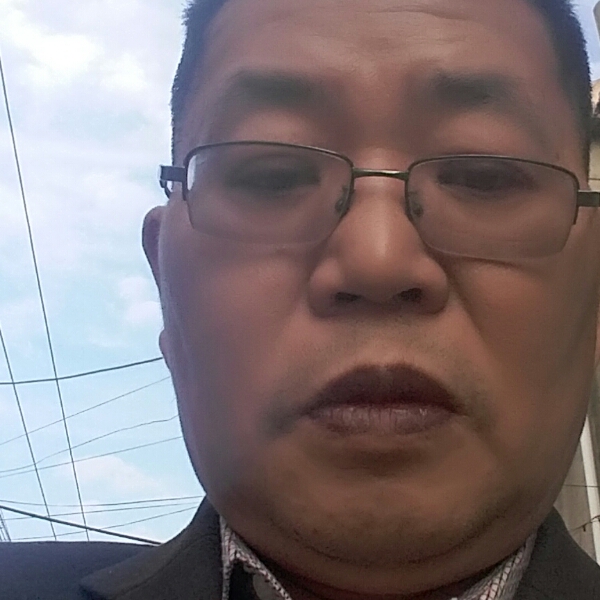 台城柳的照片