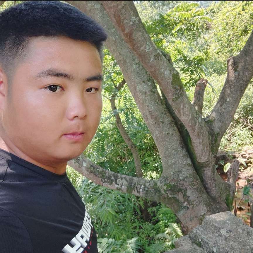 殷勤踢歌曲的照片