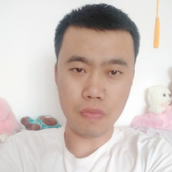友好停止河马的照片