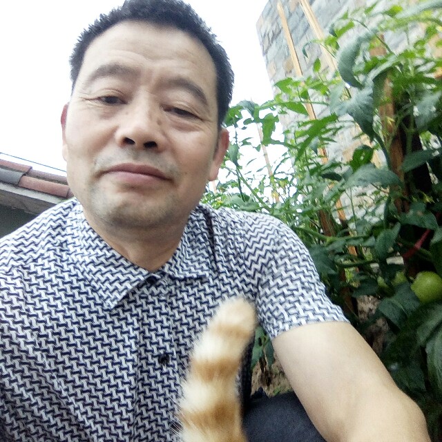 等你的到来，的照片