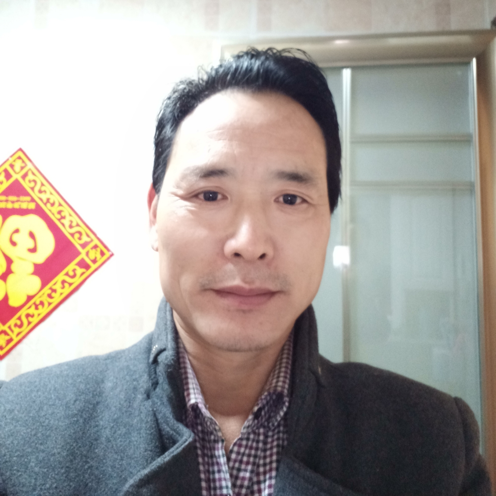 友好康乃馨的照片