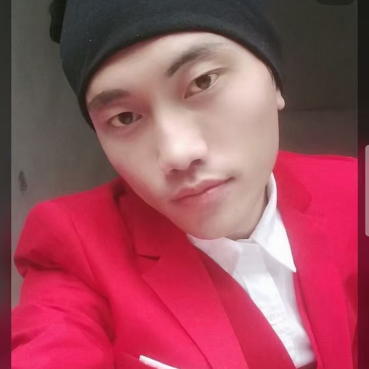 小狗狗挺可爱的照片