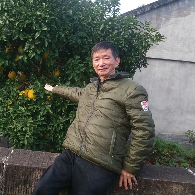 撒蛋的照片