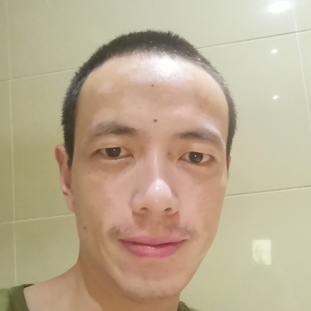 勤奋凝眸蚂蚁的照片