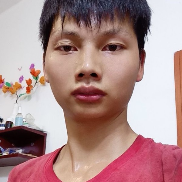 沉静踢鸡的照片