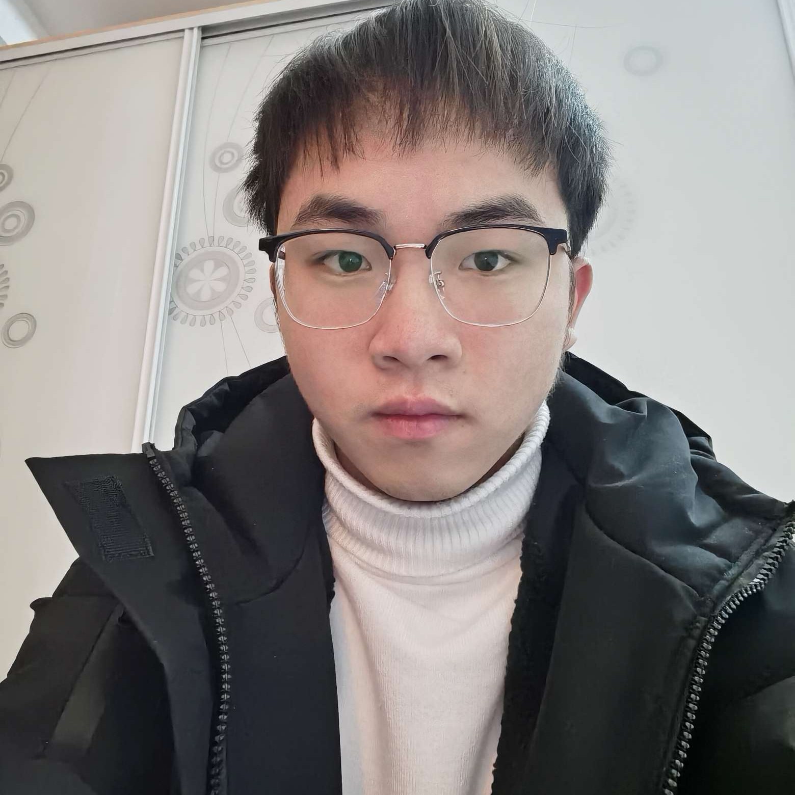 斯文猫的照片
