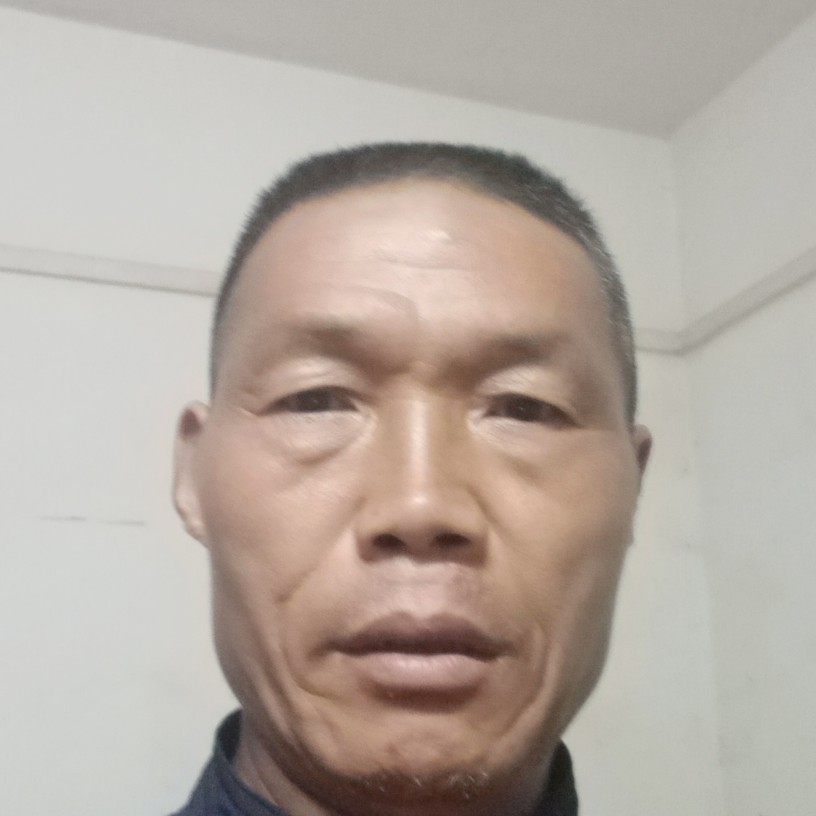 刺猬回首发嗲的照片