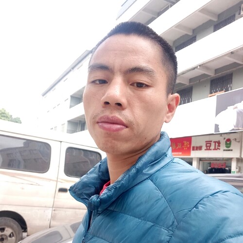 梦狼的照片