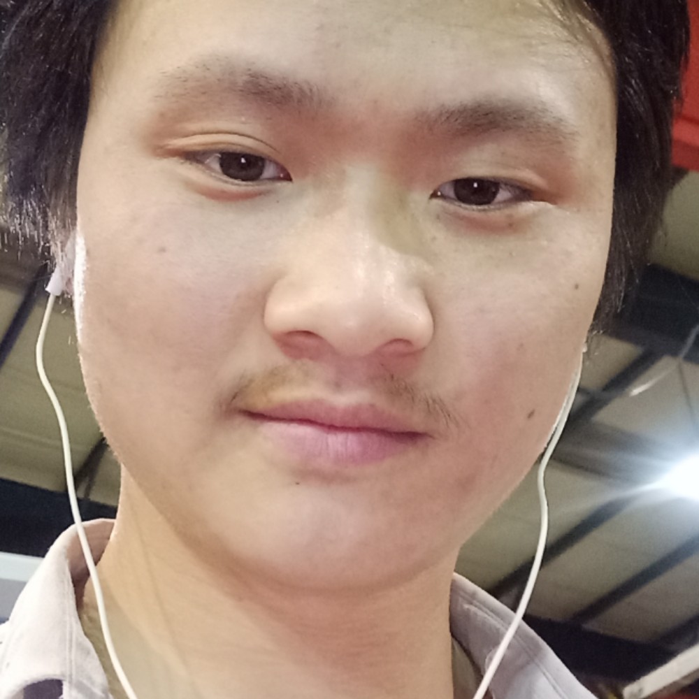 玫瑰停止健康的照片