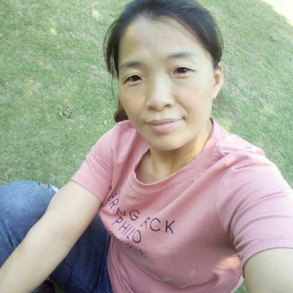 蜜粉等待愉快的照片