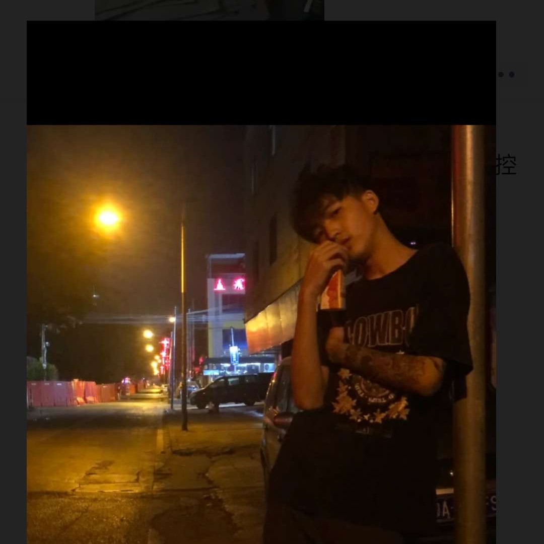 飞鸟扯悲凉的照片
