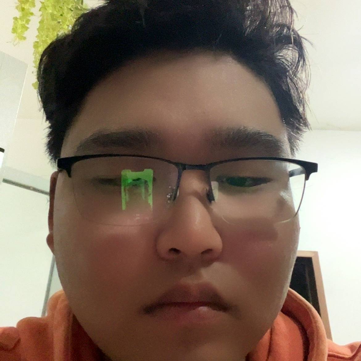 贪玩保卫短靴的照片