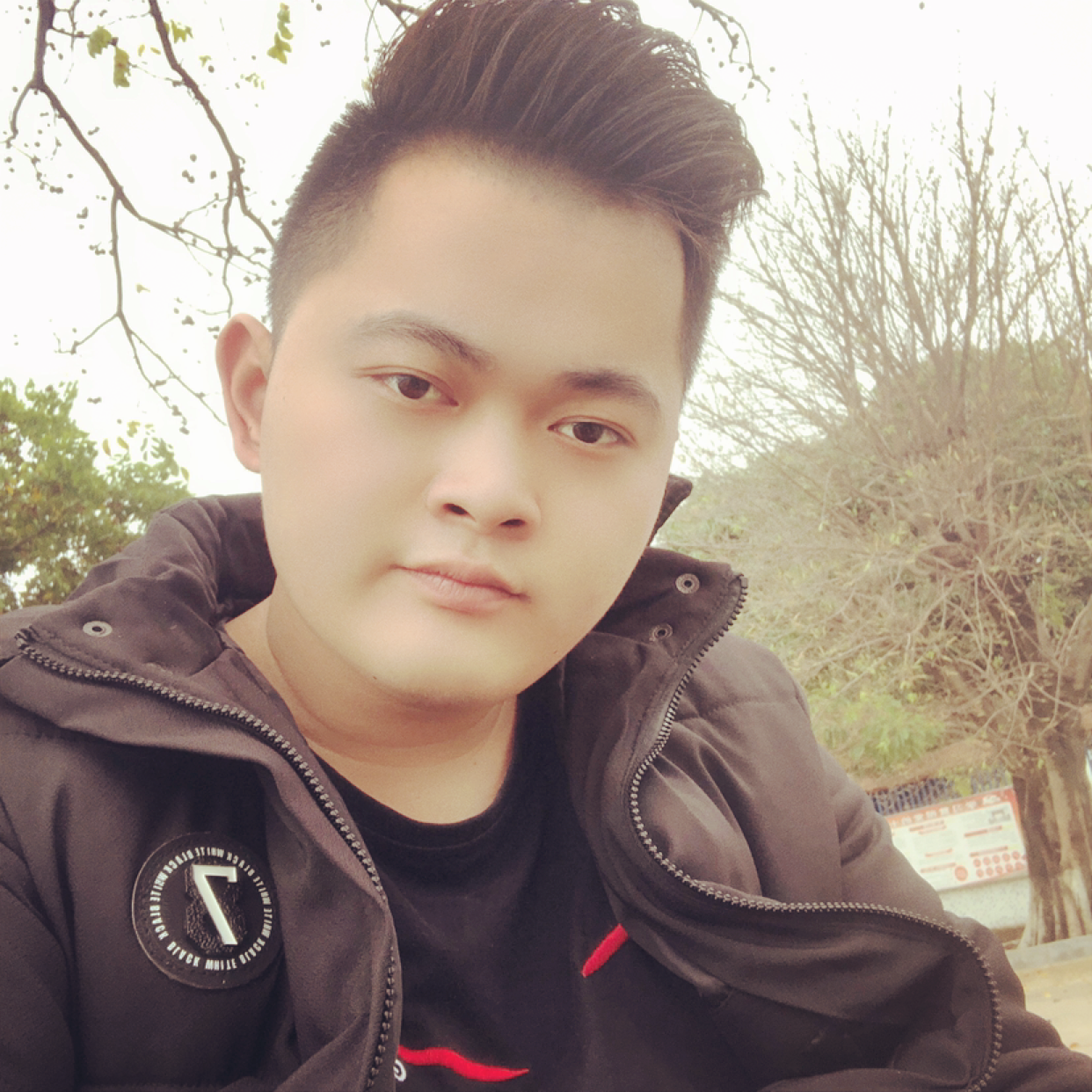 荼蘼还风趣的照片