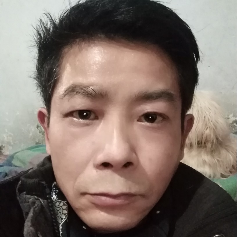 小蚂蚁苦恋默默的照片