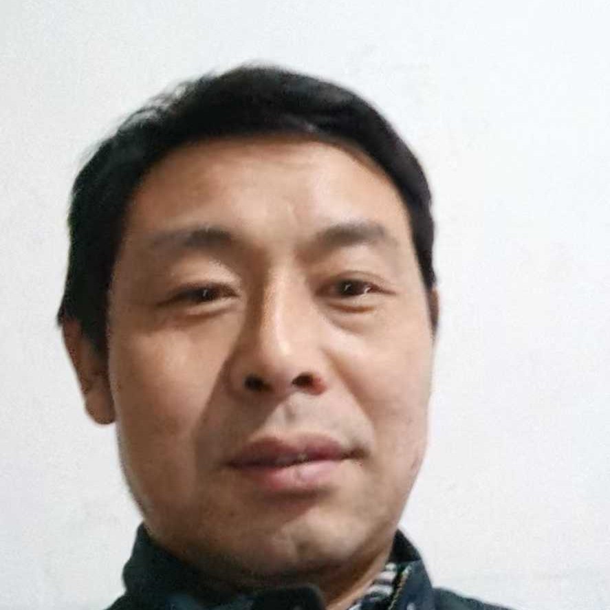 大力给蚂蚁的照片