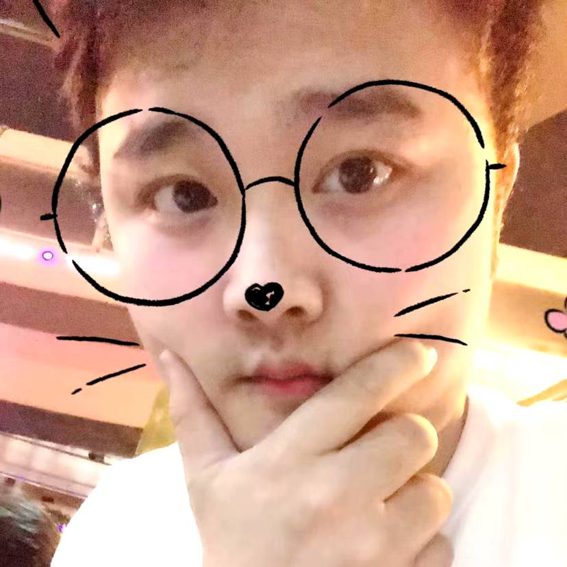 小海豚落后的照片