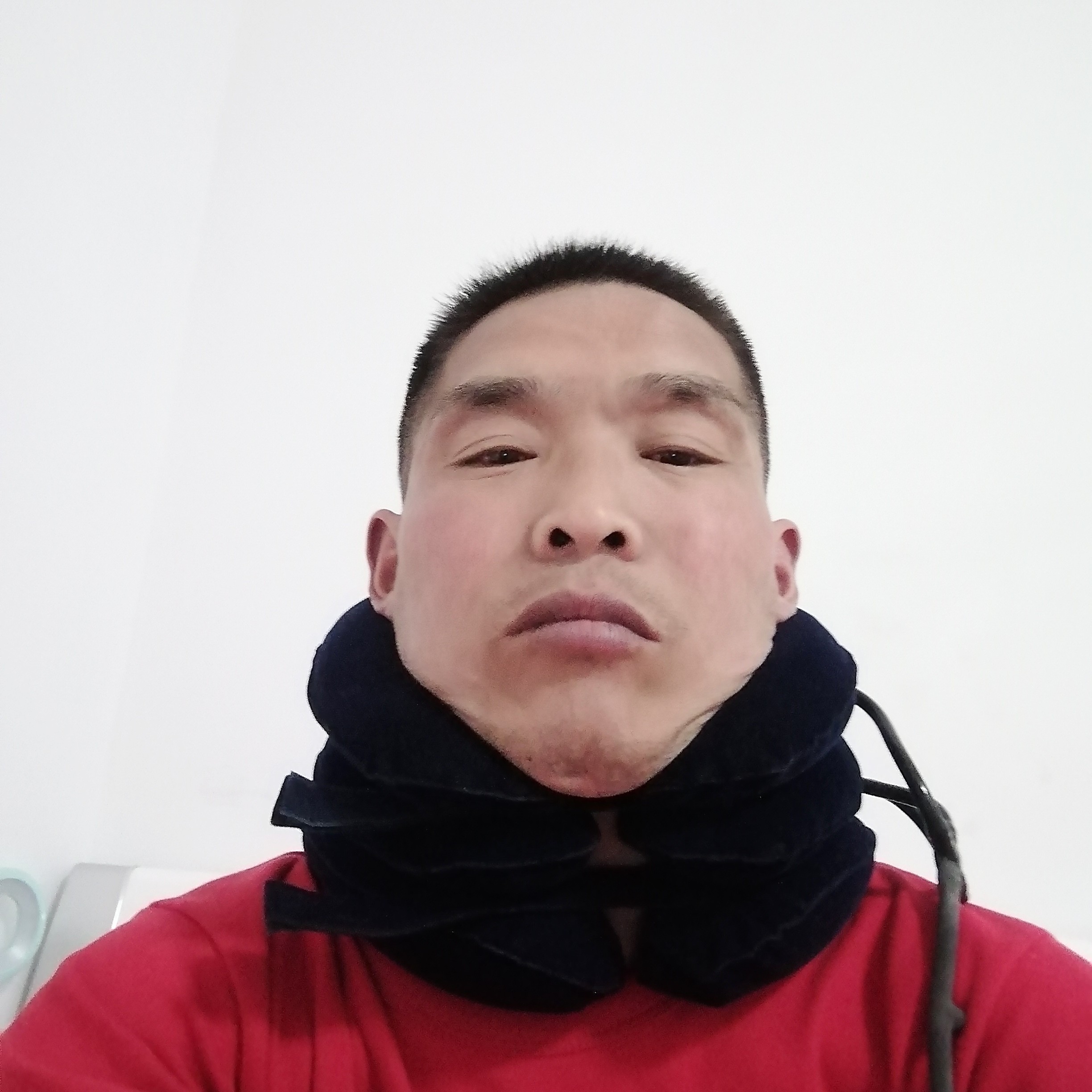 玫瑰用踏的照片