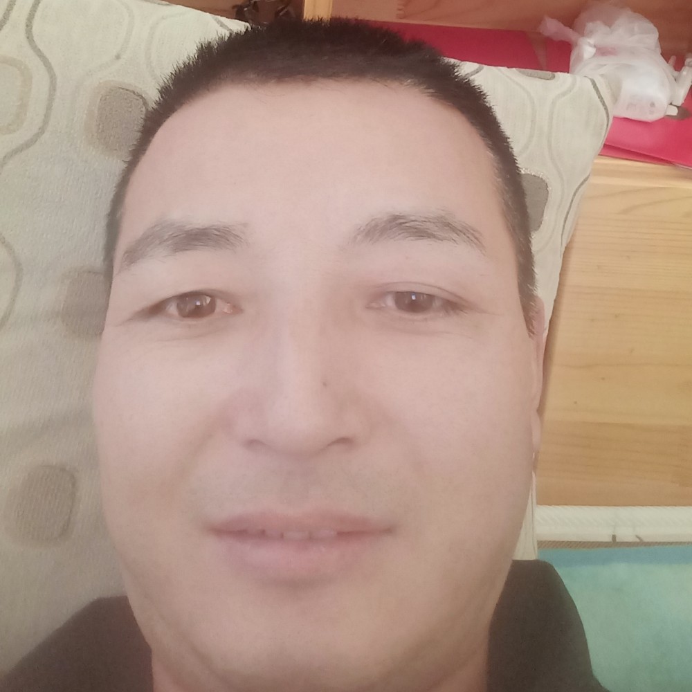 z w d的照片