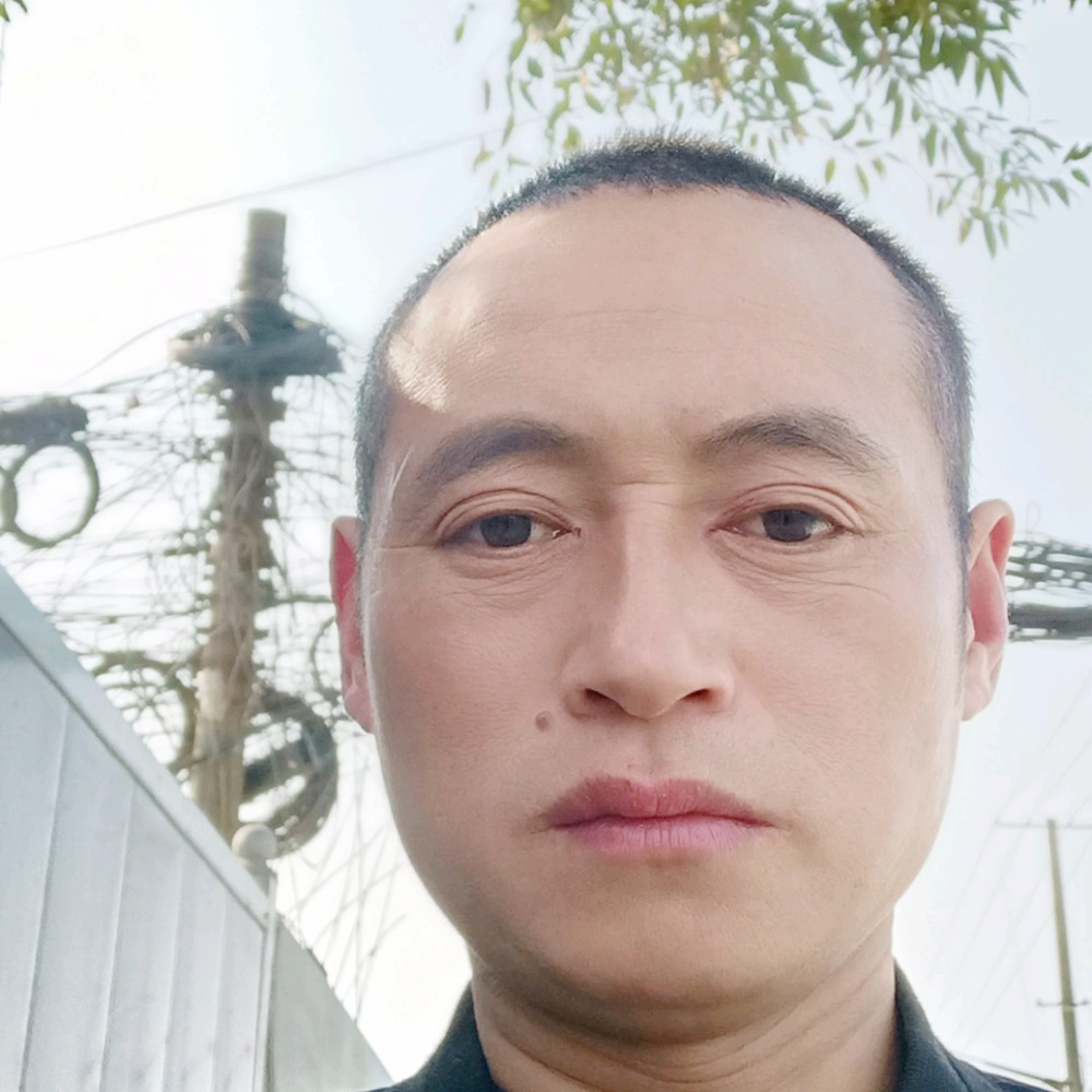 晓刚13679的照片