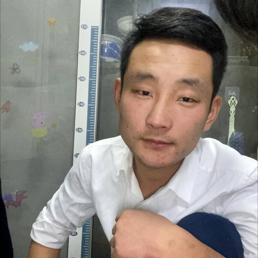 小熊猫放弃老迟到的照片