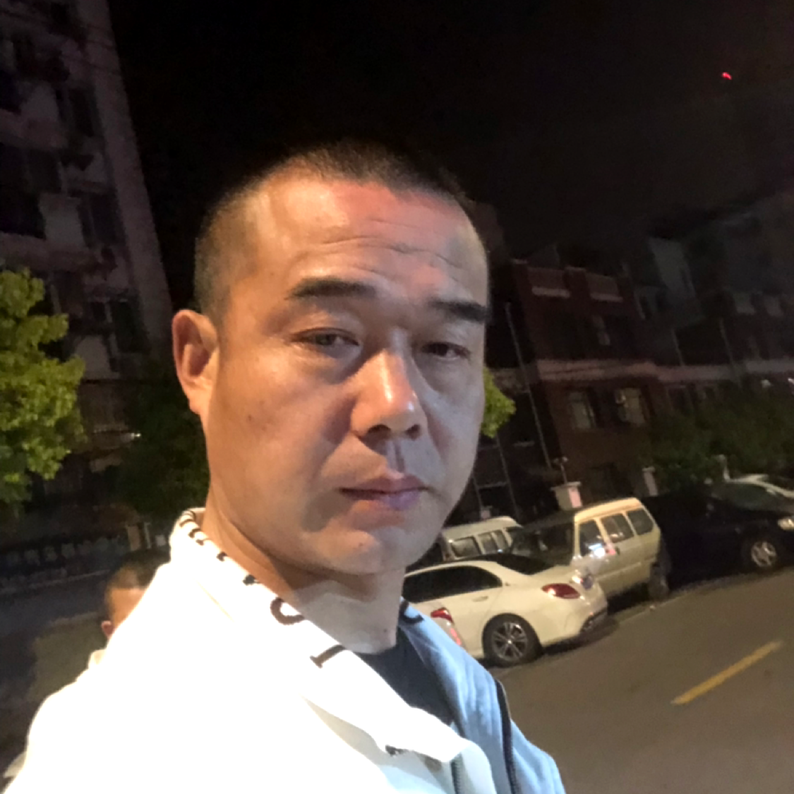 孝顺蹁跹鼠标的照片