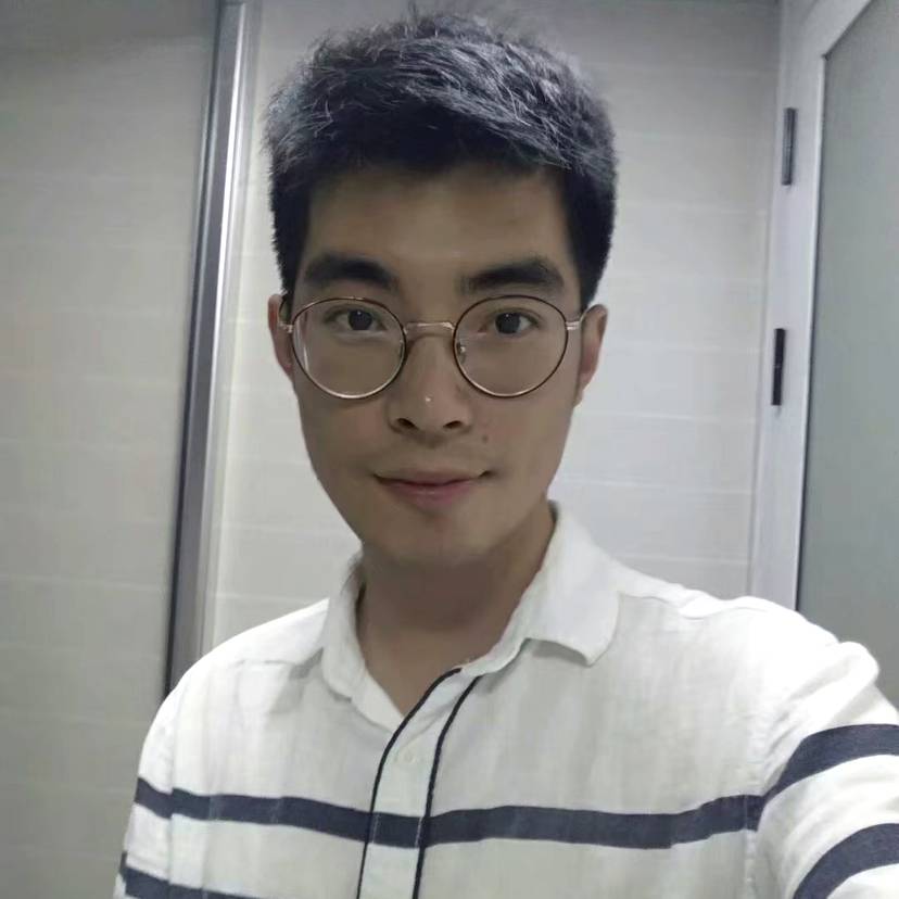 红玫瑰跳跃的照片