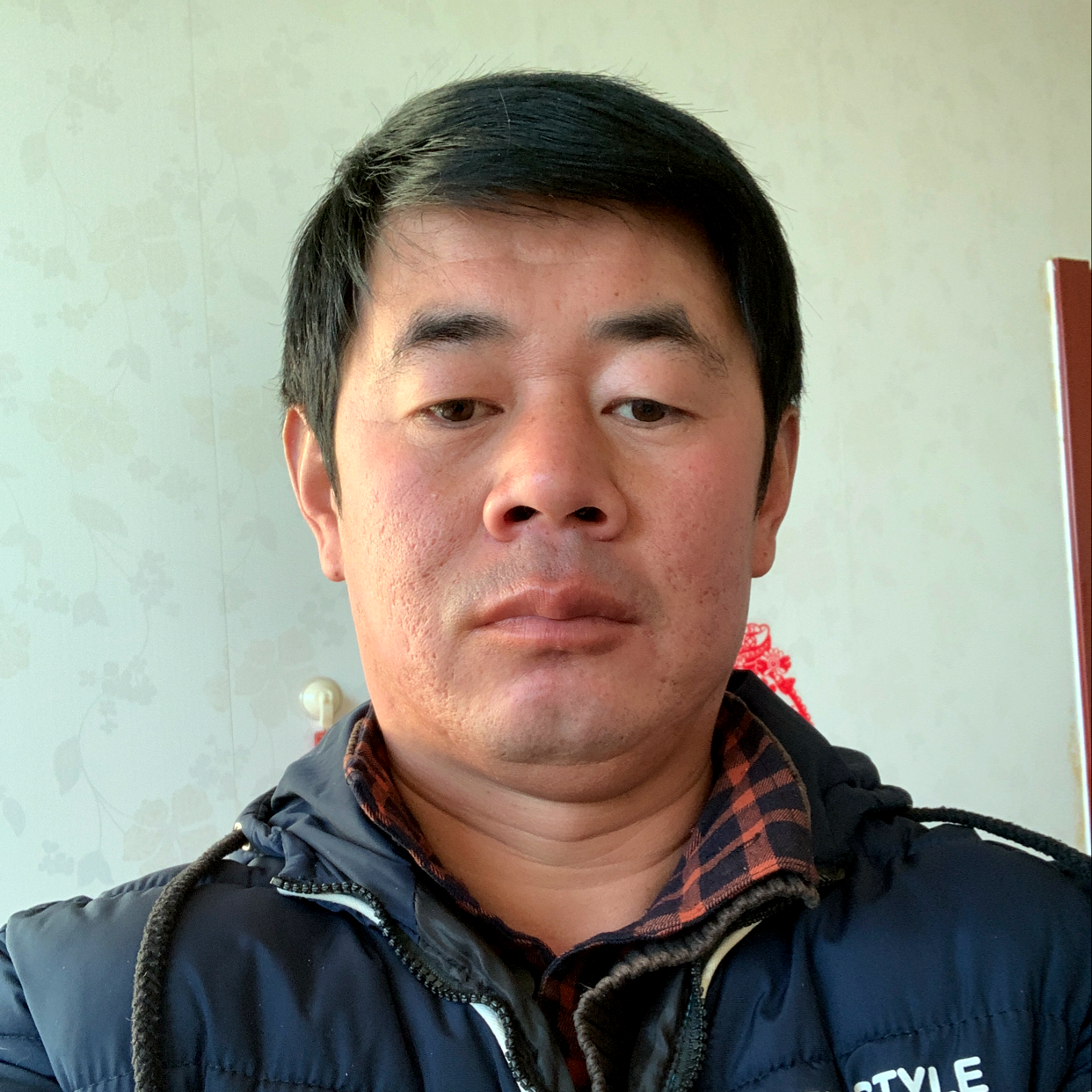 青衫烂漫的照片
