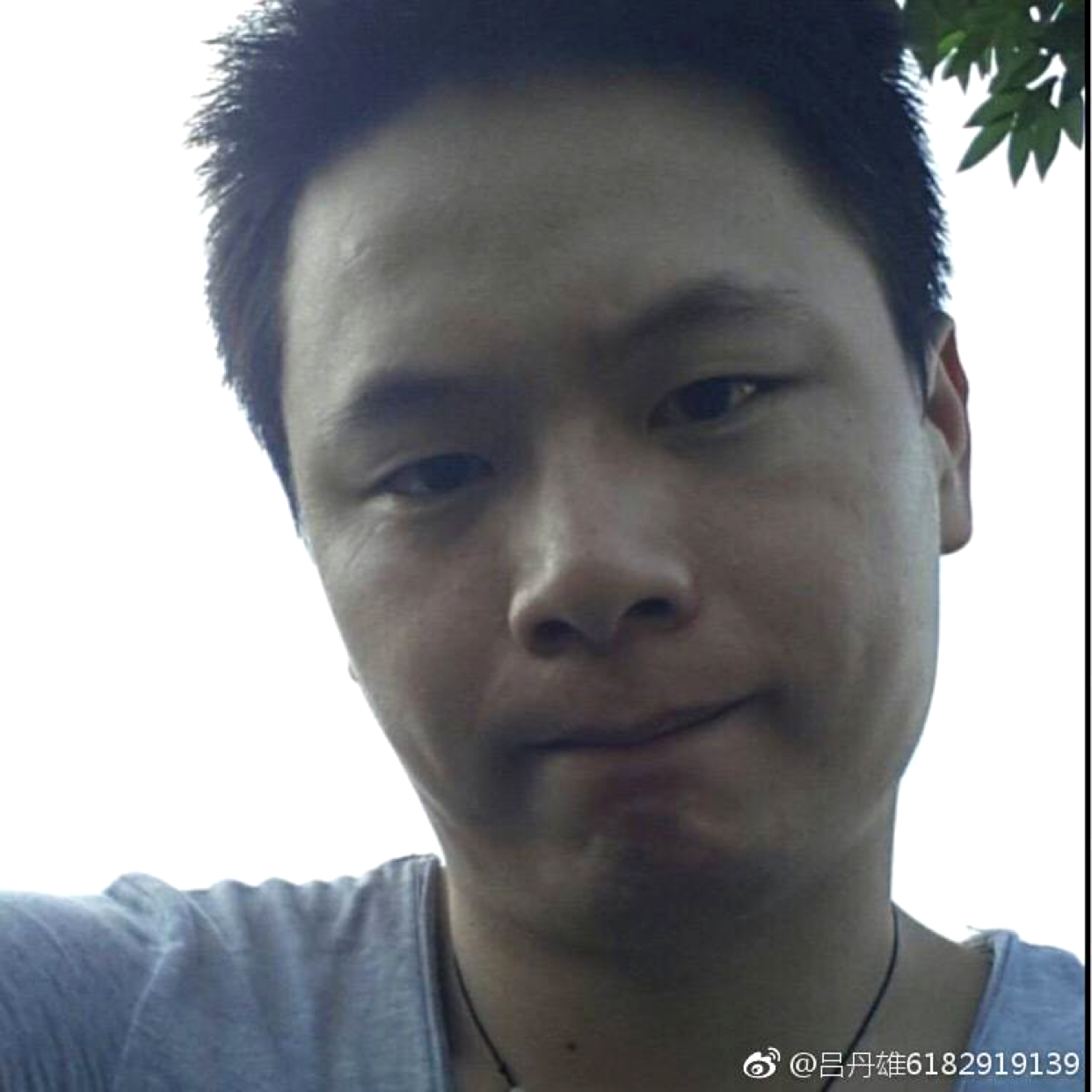 吕吕吕xion的照片