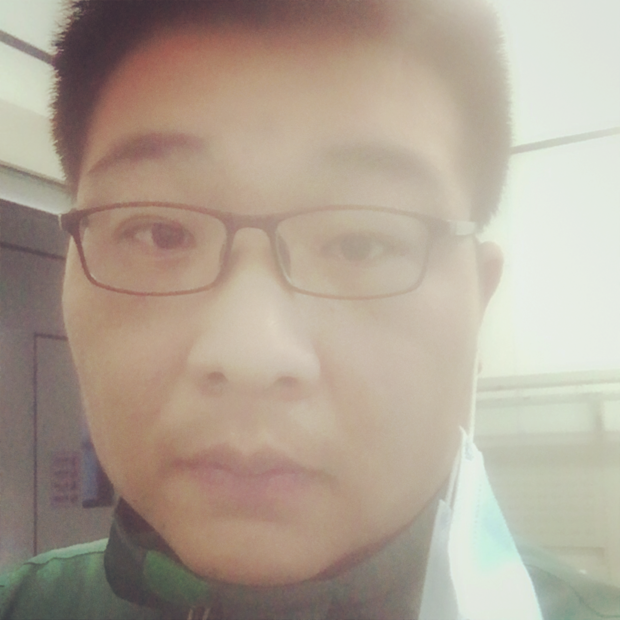 漫步的小鸭子的照片