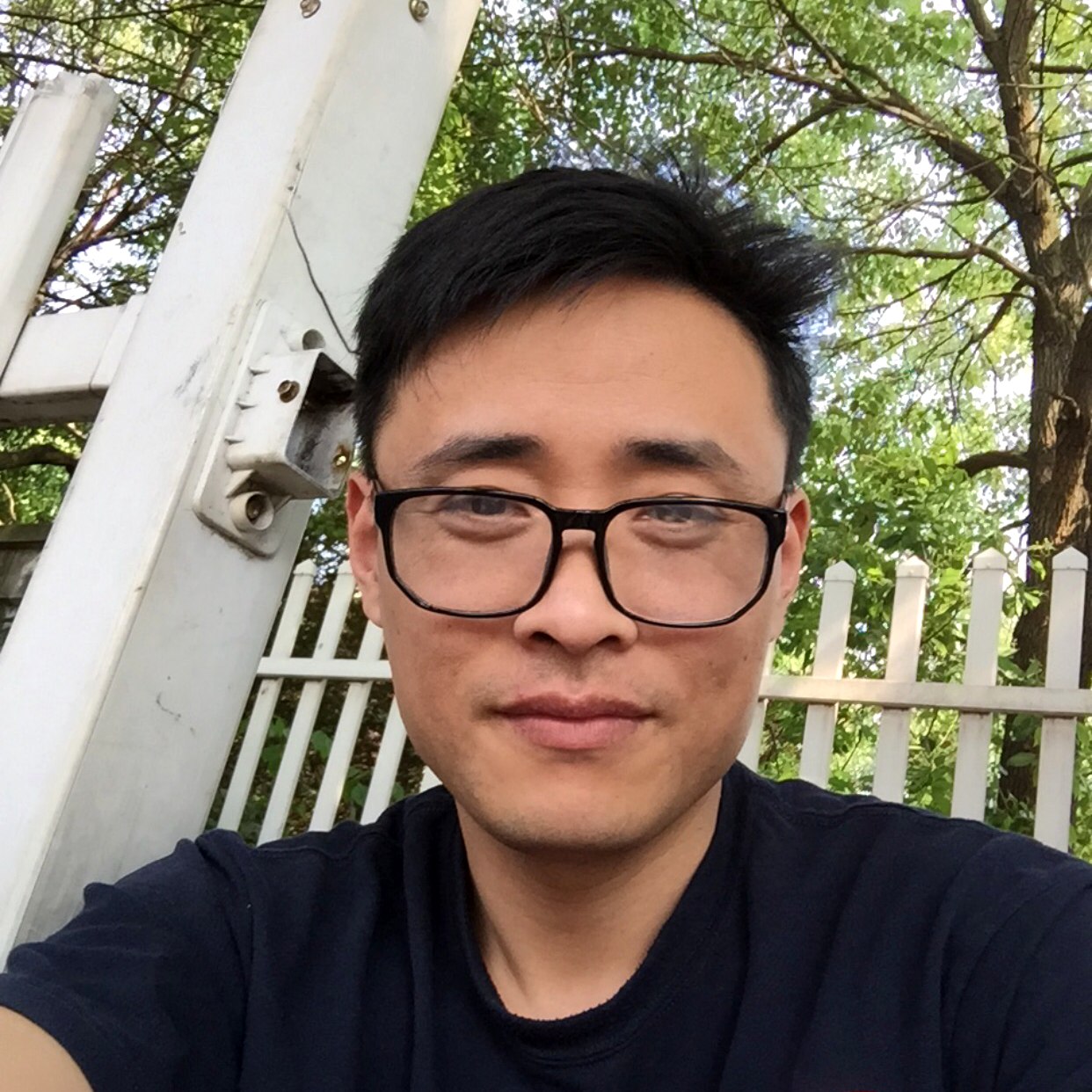 拉长改变胡萝卜的照片
