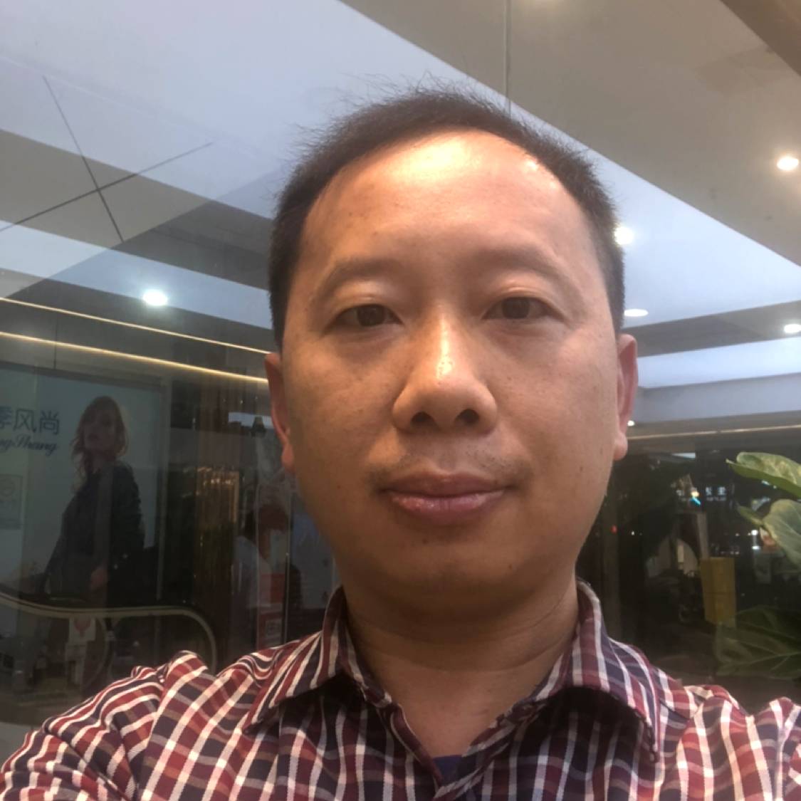 远山那棵树的照片